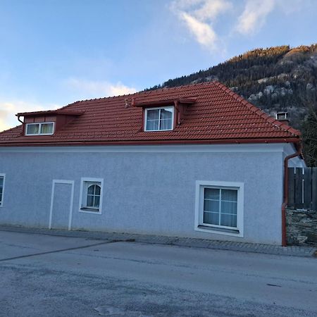 Haus Steiner Apartment Teufenbach  Exterior photo